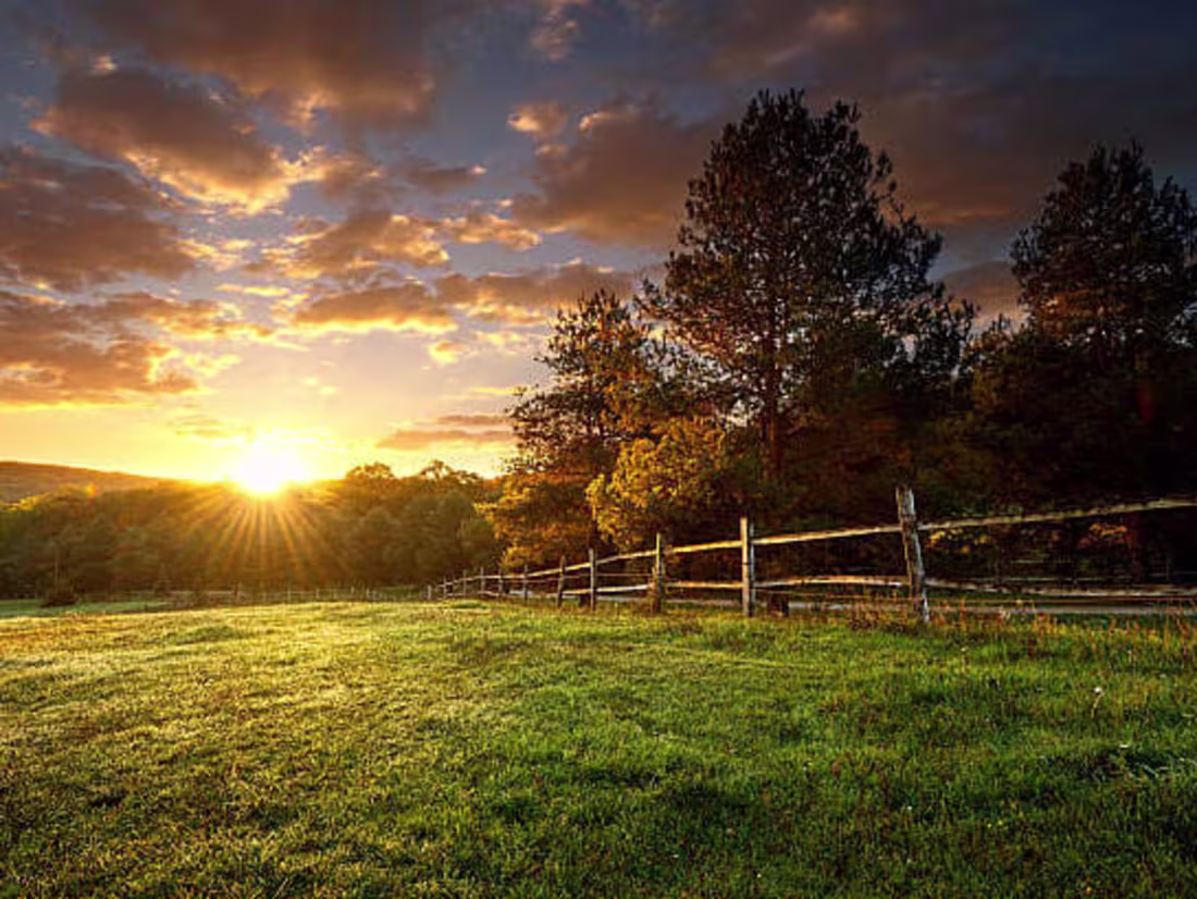 Cover image for Sample from "The Archer"