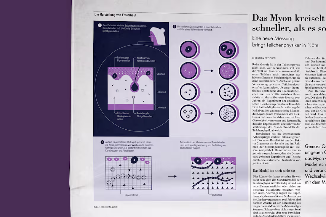 Cover image for The fabric of Synthetic Skin 