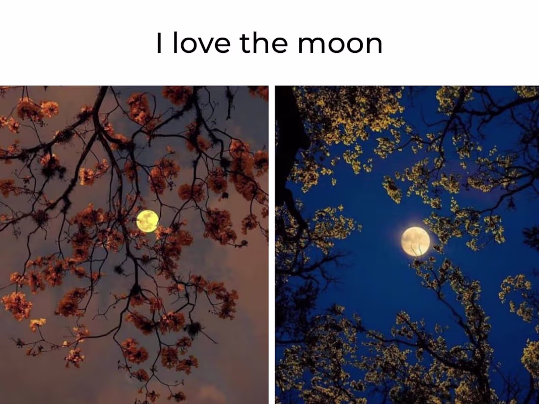 Cover image for Logo design