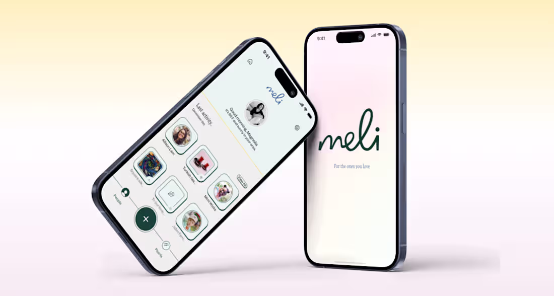 Cover image for The Webflow landing page for Meli - B2B2C software platform