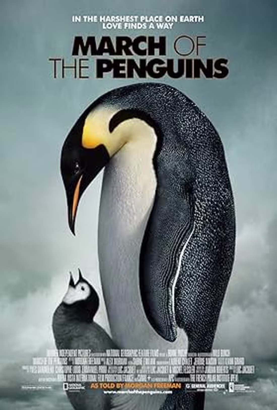 Cover image for Penguin town