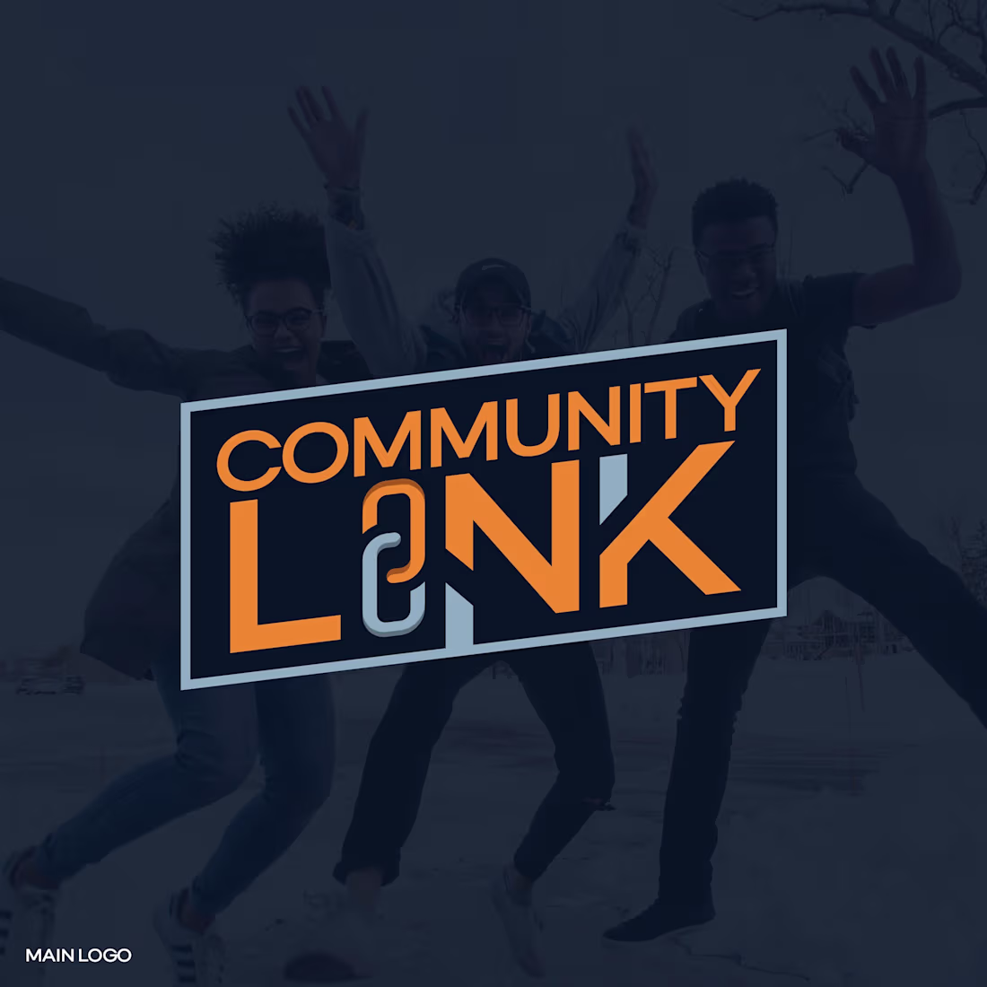 Cover image for Community Link