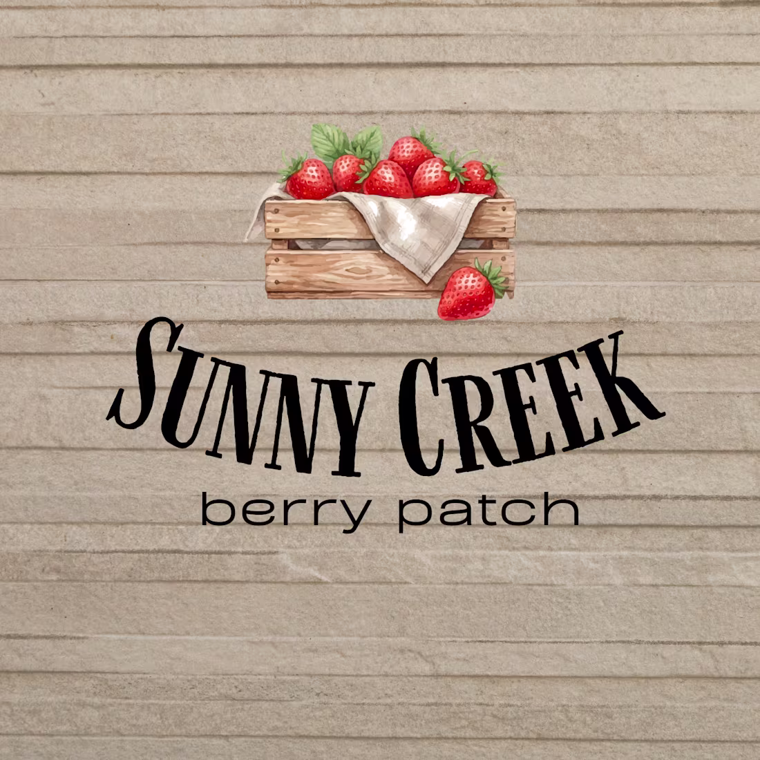 Cover image for Designed a clean and friendly