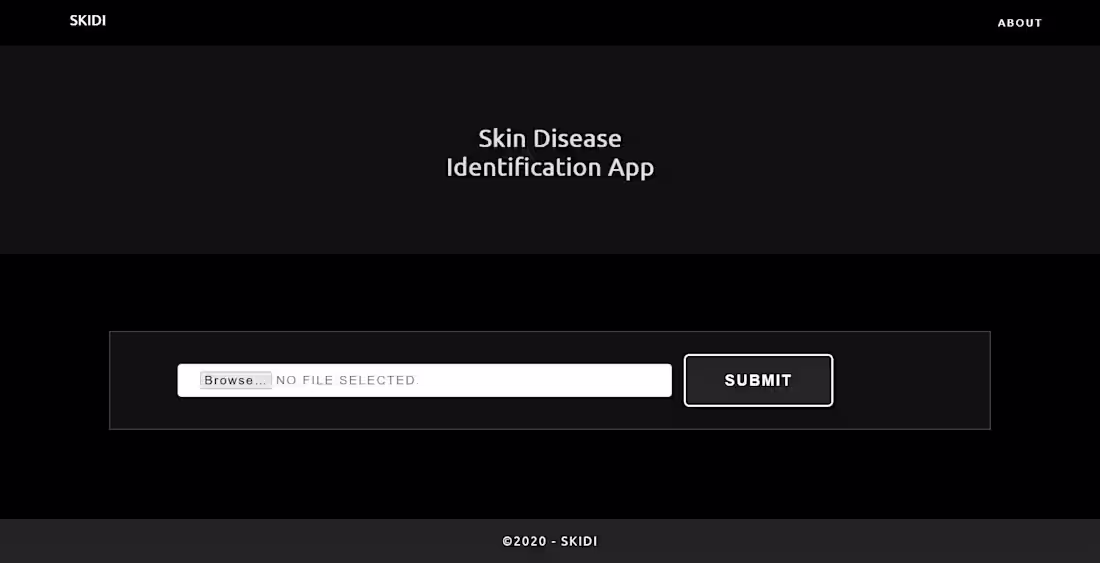 Cover image for Skin Disease Identification using CNNs