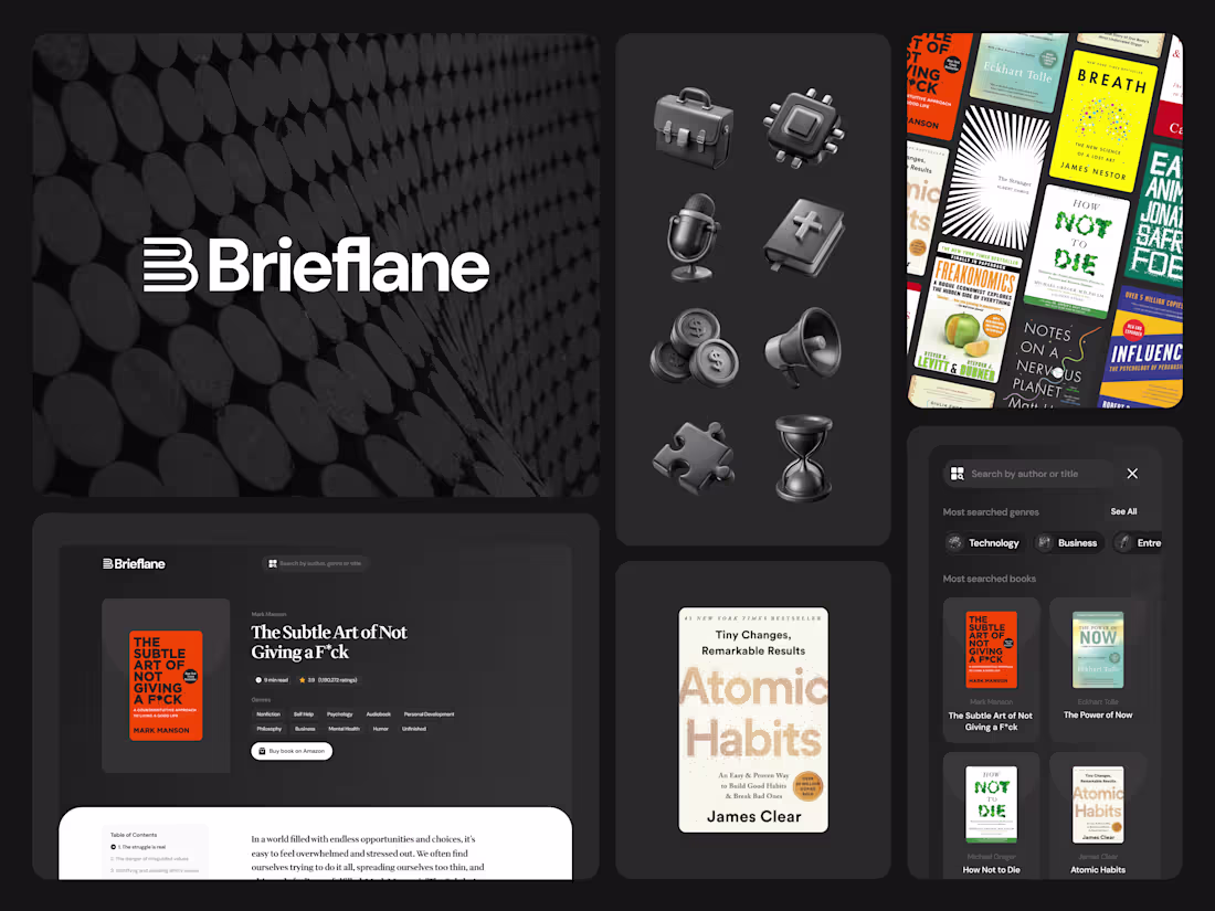 Cover image for Brieflane Branding