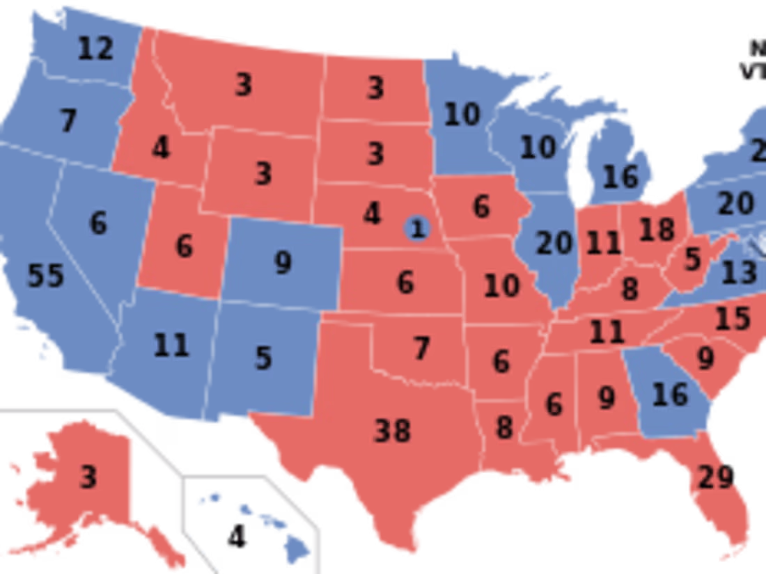 Cover image for THE IRRELEVANT ELECTORAL COLLEGE