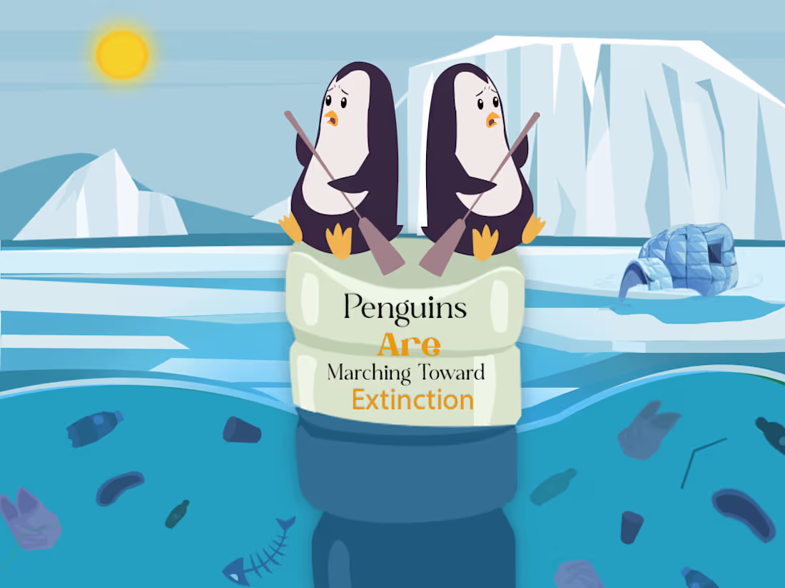 Cover image for social media poster 