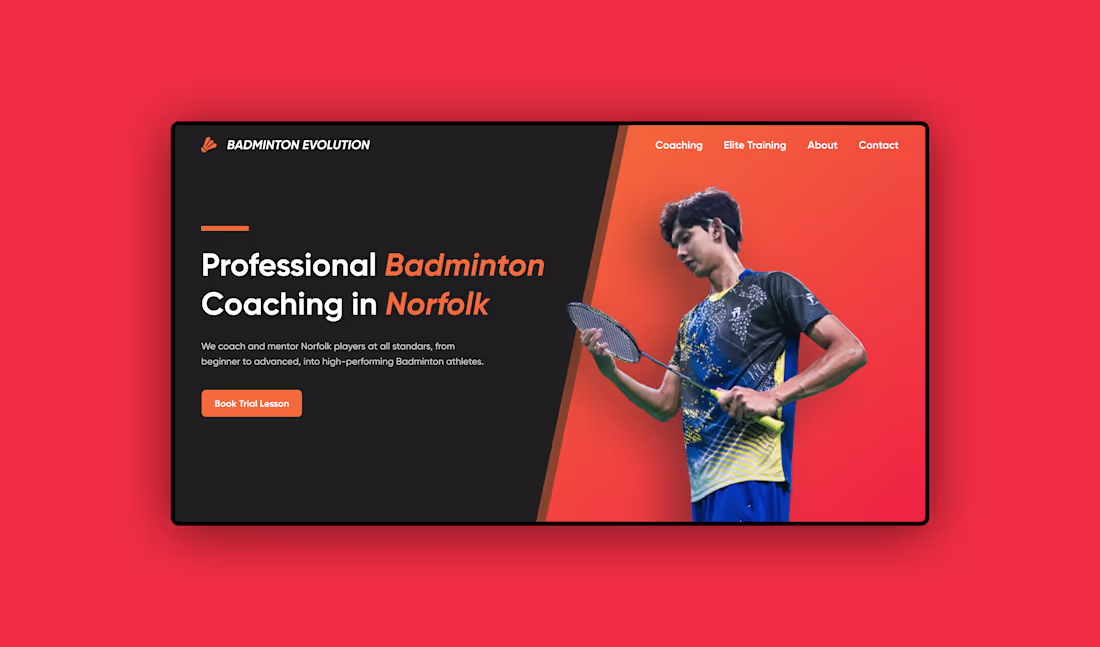 Cover image for Badminton Evolution