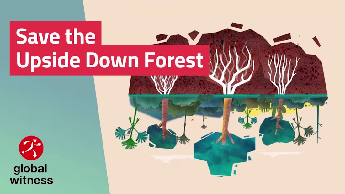 Cover image for What is the Cerrado – and why is it important for our planet?