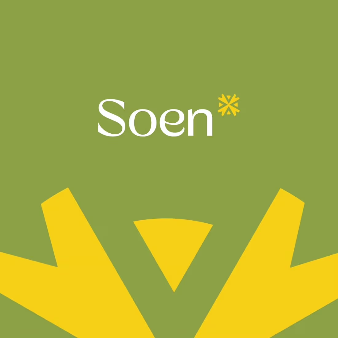 Cover image for A solar energy company needed