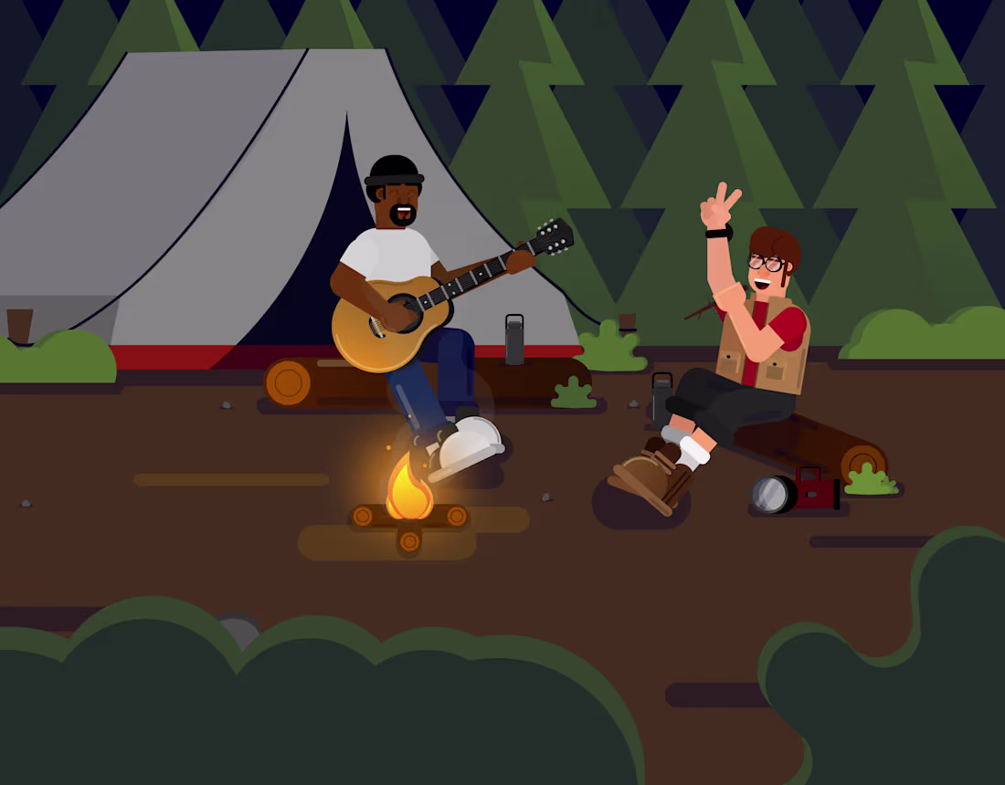Cover image for Camping