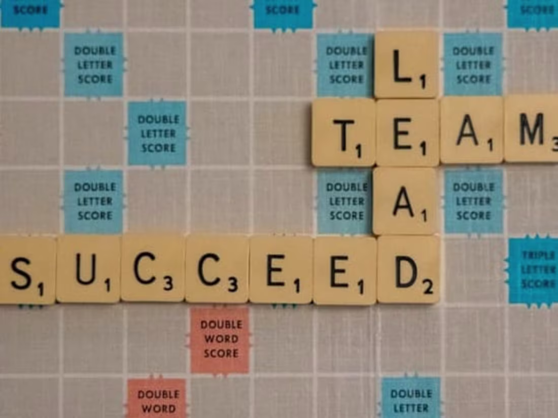 Cover image for Team Lead and Customer Service 