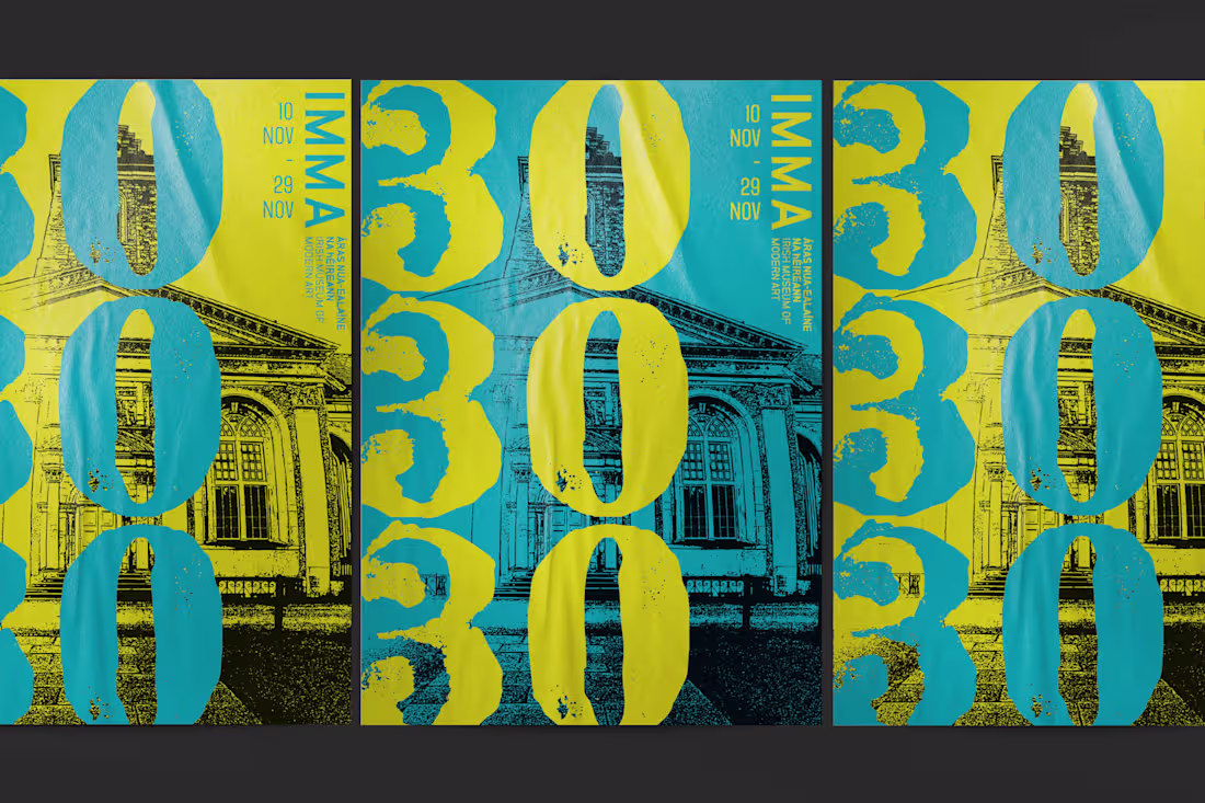 Cover image for 30 YEARS OF IMMA