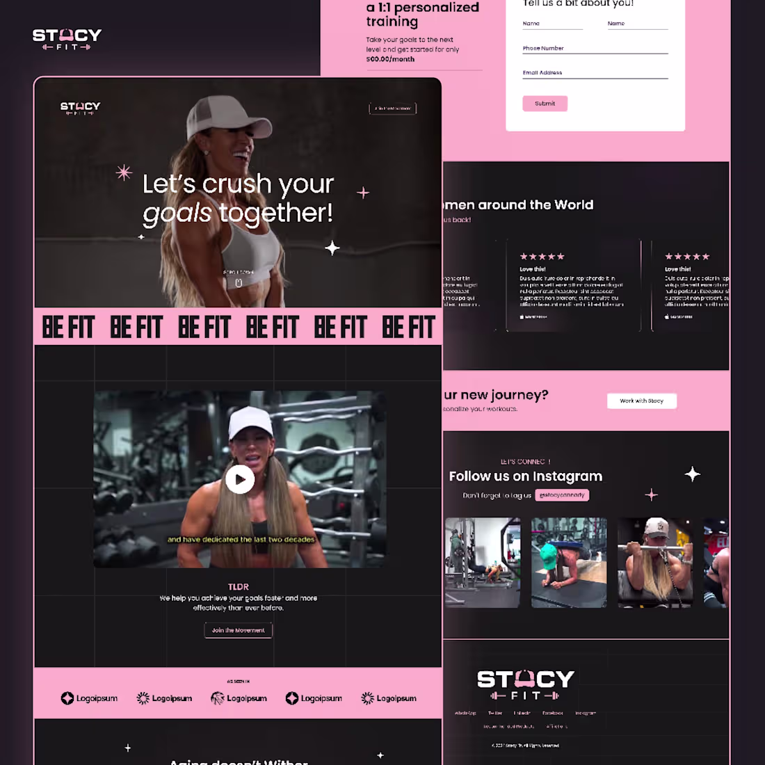 Cover image for Stacy Fit