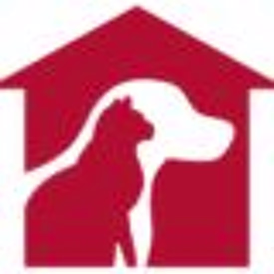 Cover image for At Home Veterinary Care Voice Over