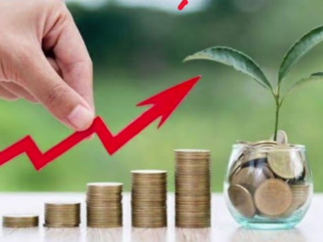 Cover image for Financial Literacy and Investing