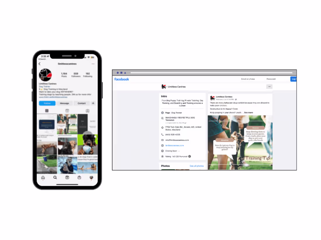 Cover image for Limitless Canines: Marketing Manager