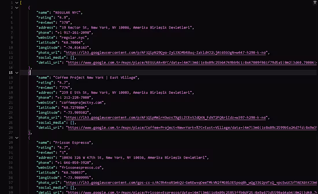 Cover image for Google Maps Business Data Scraper