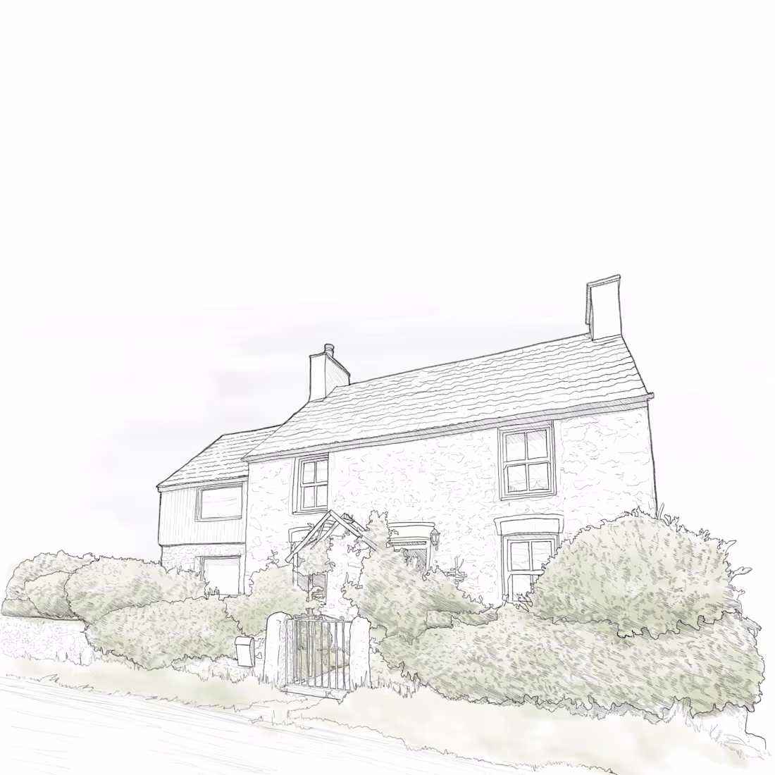 Cover image for Illustration for brand identity 