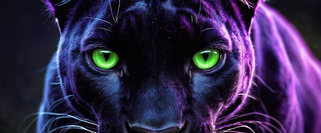 Cover image for NFT Concept Design and Artistry