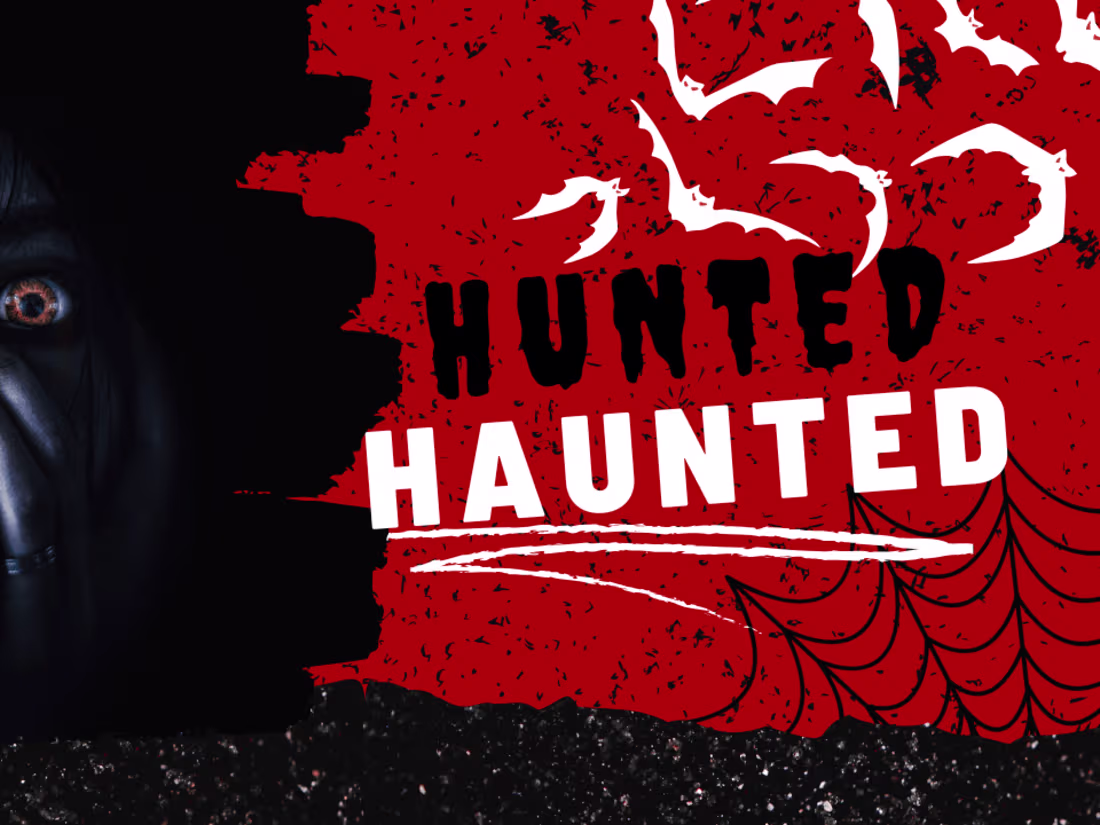 Cover image for Hunted Haunted