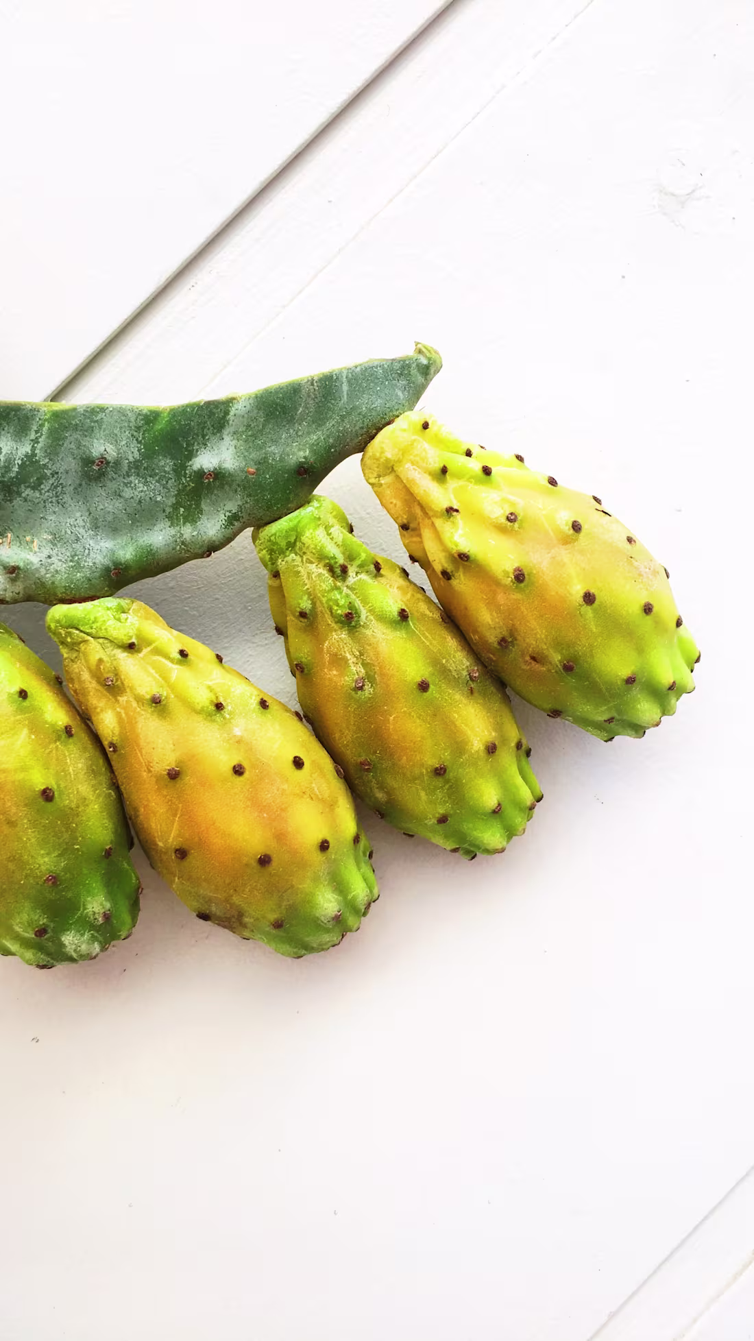 Cover image for Photography