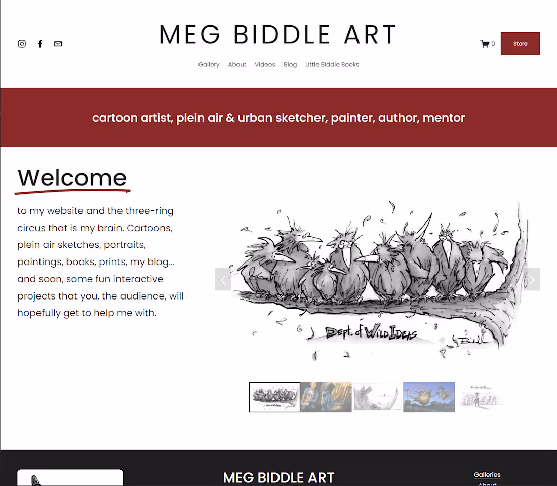 Cover image for Meg Biddle Art