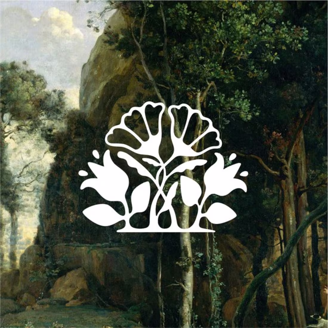 Cover image for Forest the pastry shop