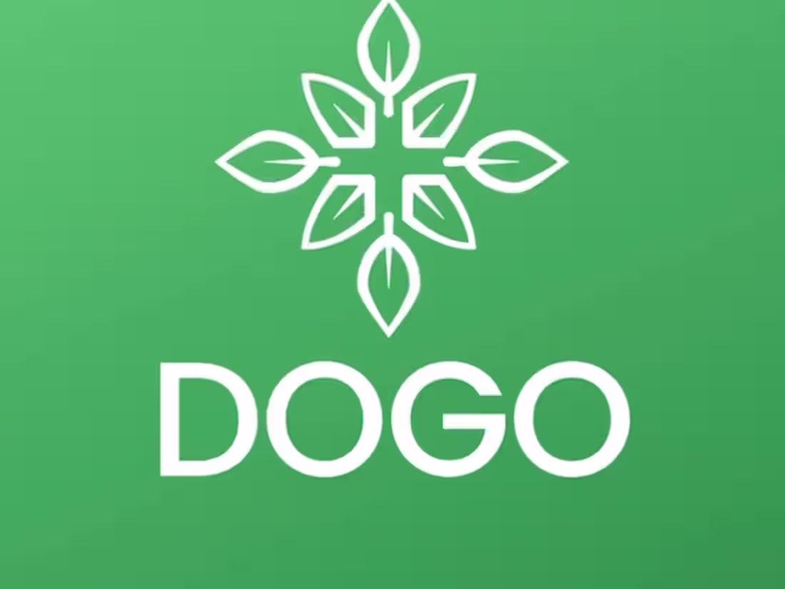 Cover image for Janine B on TikTok