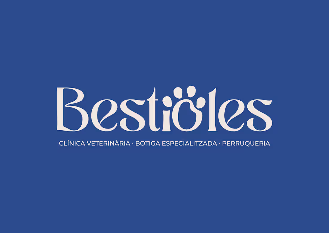 Cover image for Bestionles Branding