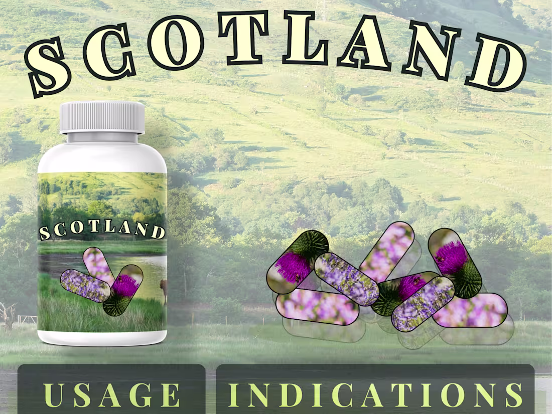 Cover image for Conceptual speculative project - Scotland