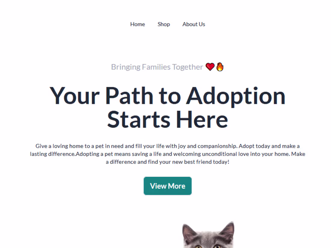 Cover image for Pet Buddy Here