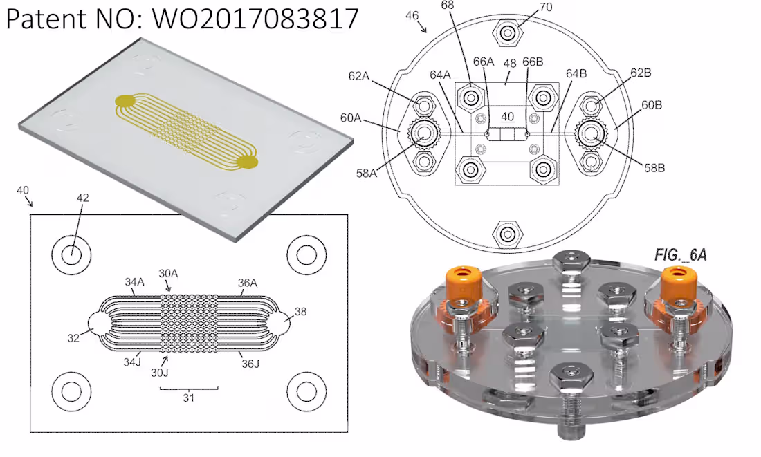 Cover image for Microfluidic Cancer Research Device: Patented Design