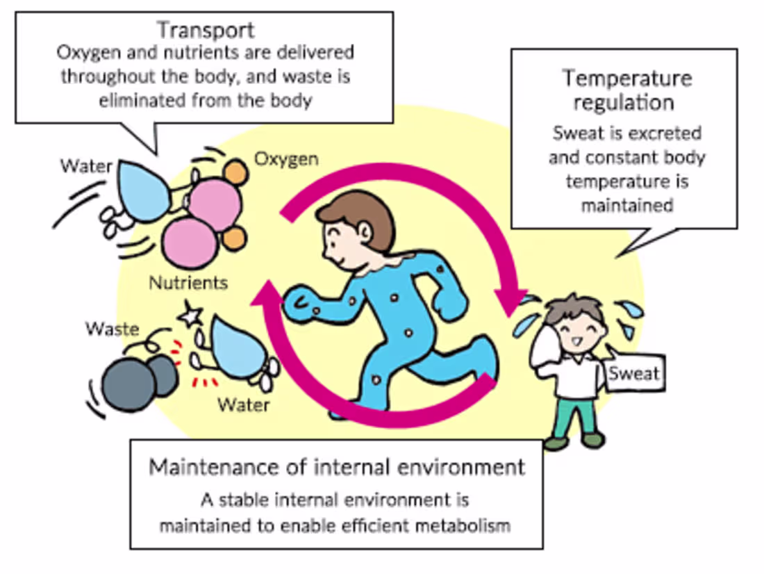 Cover image for Drink Plenty of Water