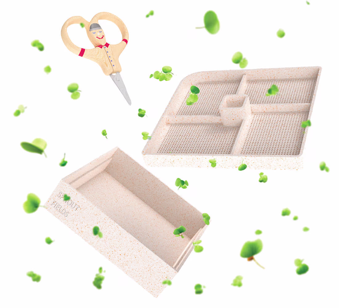 Cover image for SPROUT FIELDS