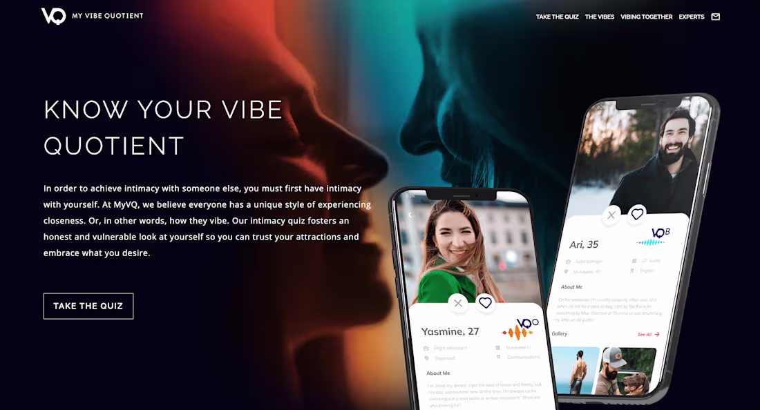 Cover image for My Vibe Quotient 