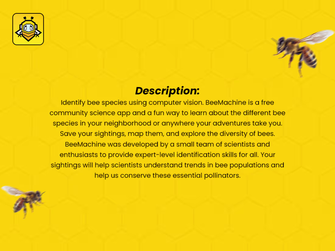 Cover image for BeeMachine is a React Native
