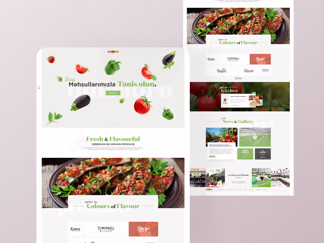 Cover image for Agriculture Company website