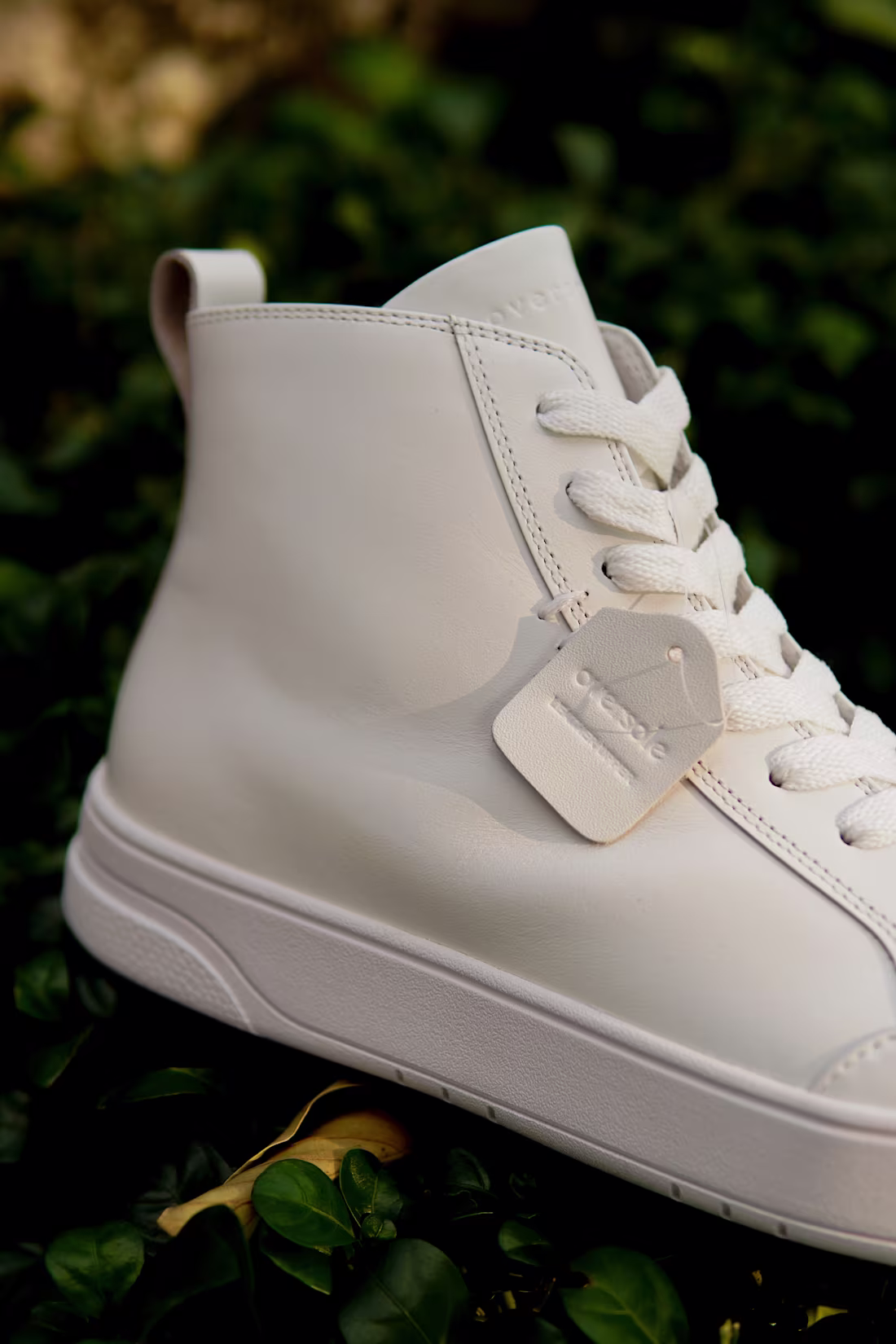 Cover image for Oversole