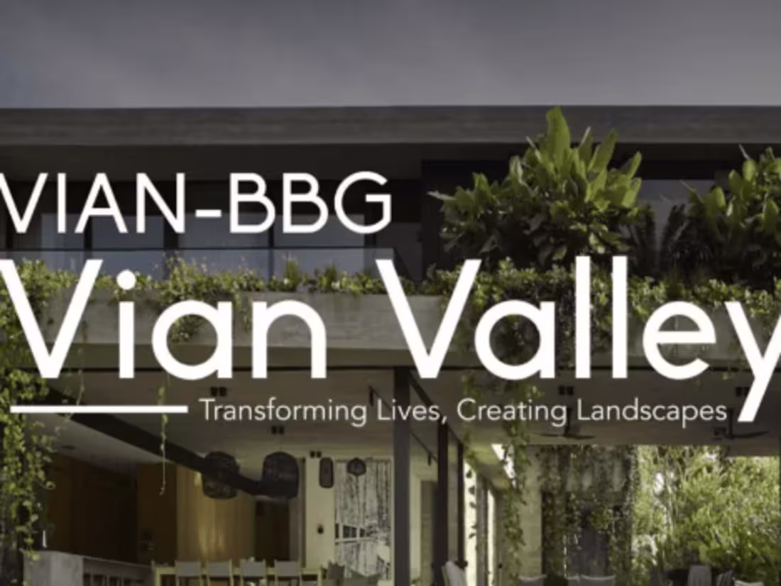 Cover image for Pitch Deck and Play Books for Vian
