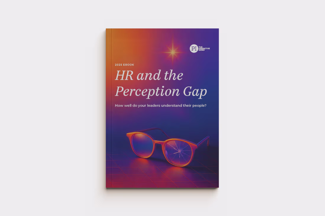 Cover image for The HR and the Perception Gap eBook Design