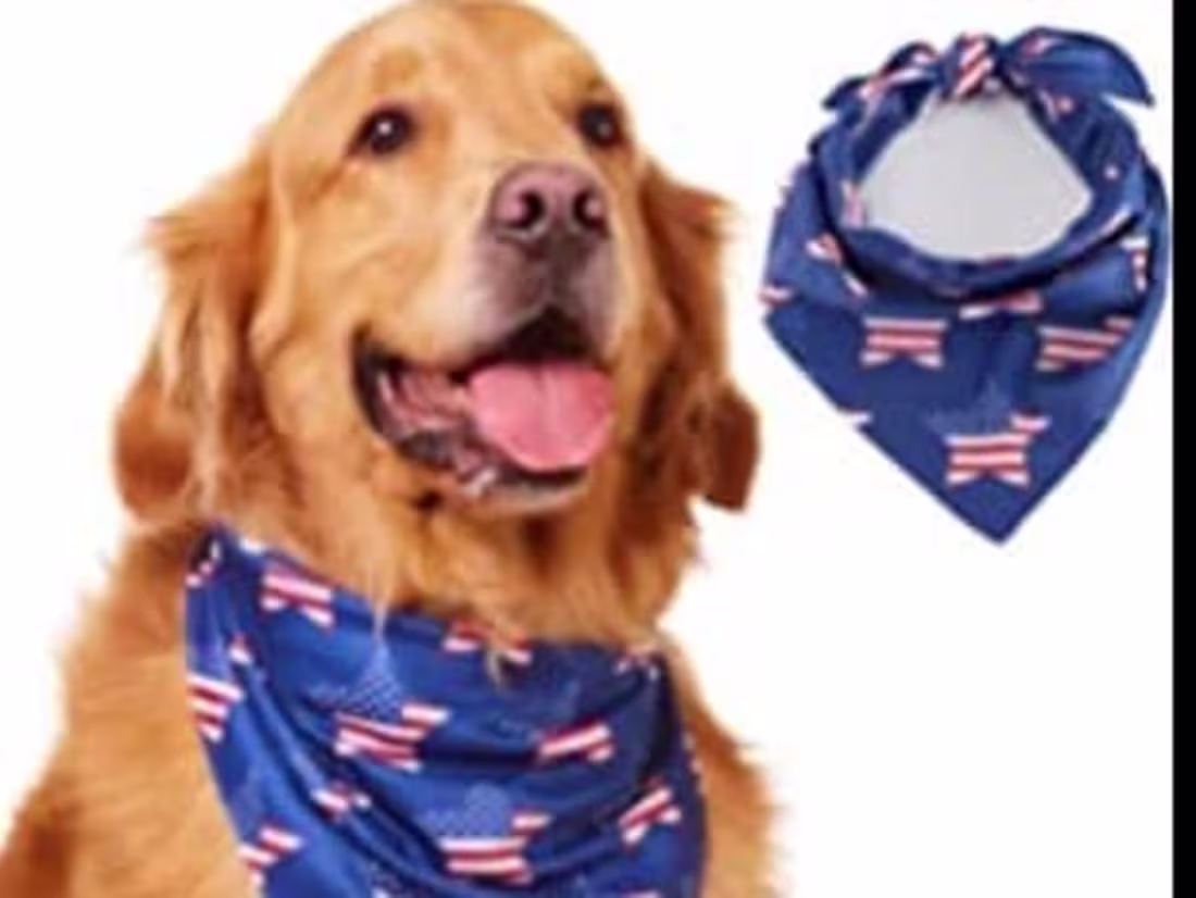 Cover image for  Top 6 websites to July 4th dog bandanas 