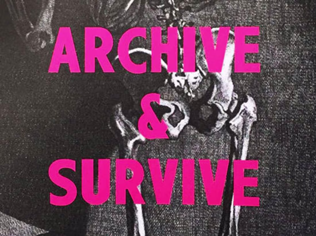 Cover image for Divison Leap Archive Catalogue