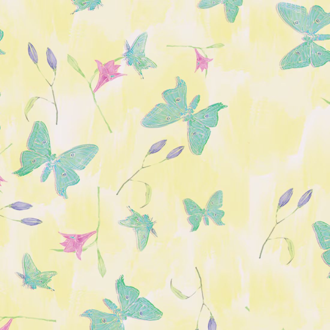 Cover image for Mong