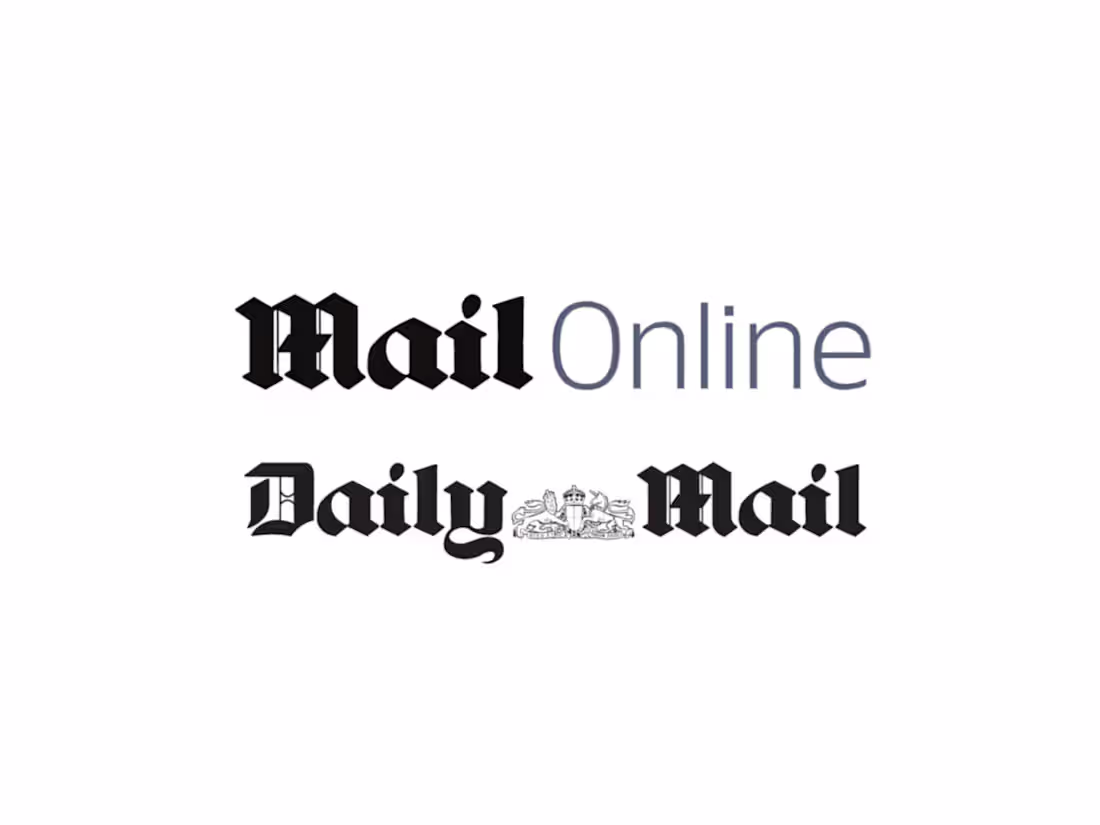 Cover image for Daily Mail Paid Media Strategy
