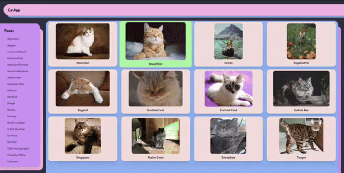 Cover image for CatApp