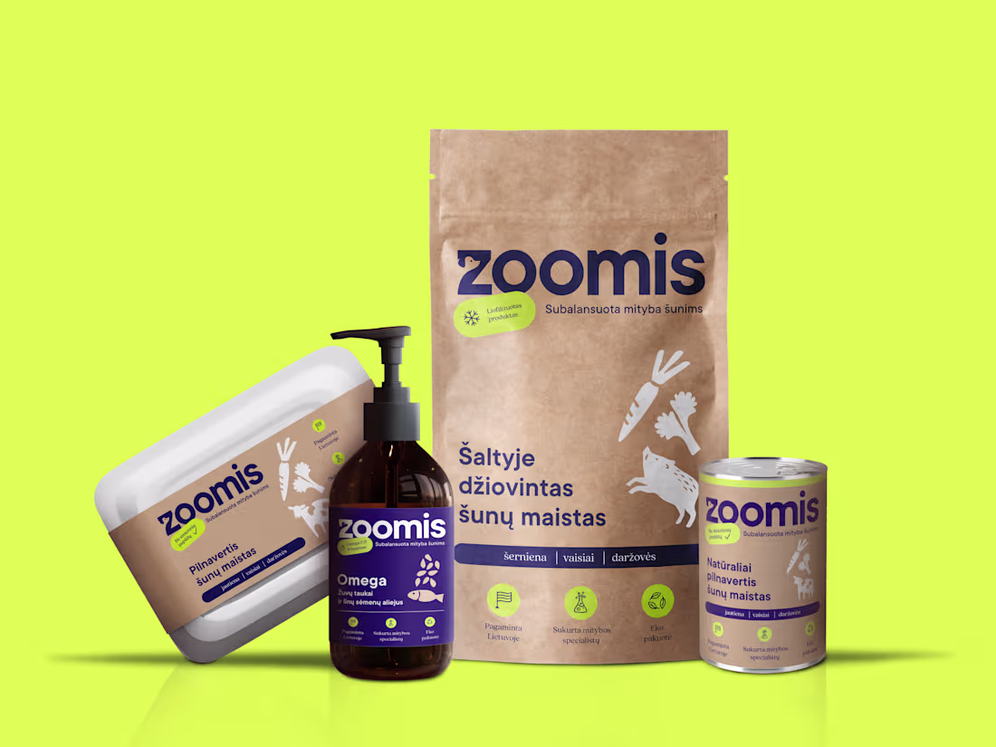 Cover image for Zoomis | Brand Identity & Collateral