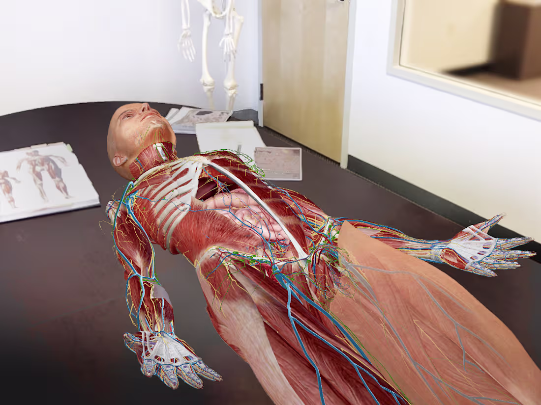 Cover image for Augmented reality human anatomy