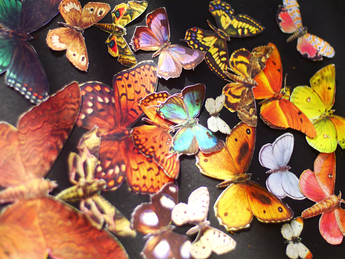 Cover image for Artfinite • Collages • Doodles • Creations