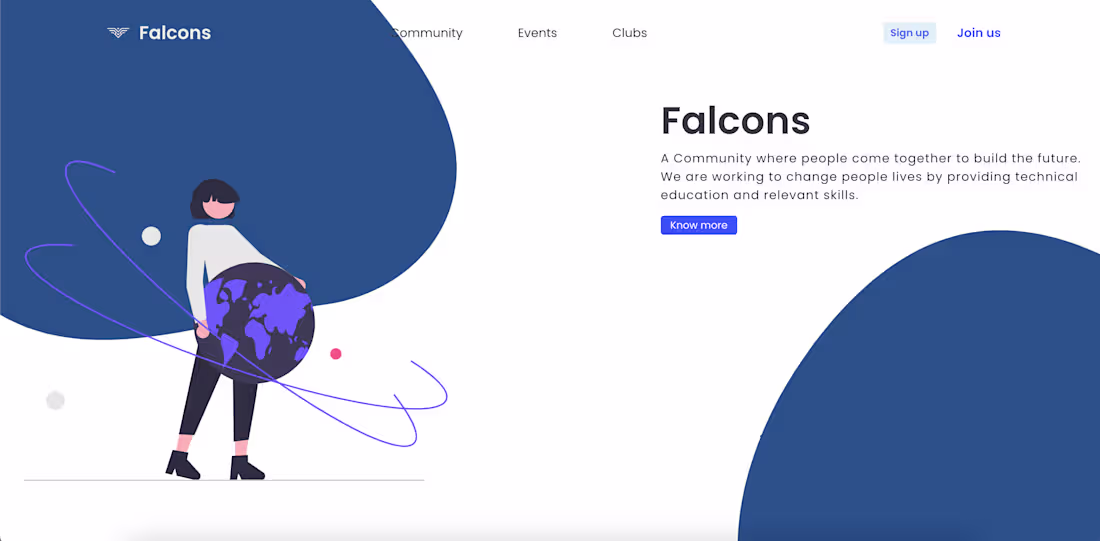 Cover image for Falcons